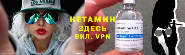 сатива Кинешма