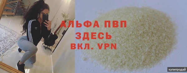 сатива Кинешма