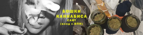 сатива Кинешма