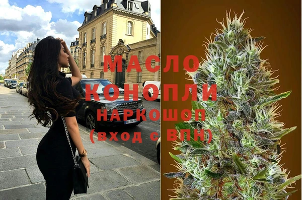 сатива Кинешма