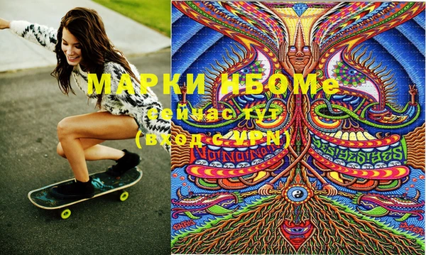 сатива Кинешма