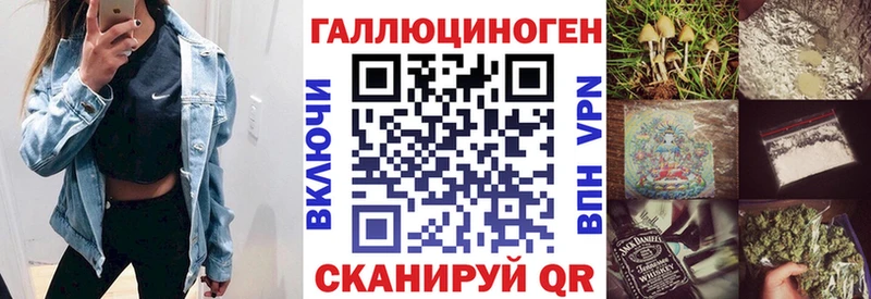 Псилоцибиновые грибы Psilocybine cubensis  ОМГ ОМГ   Кулебаки 