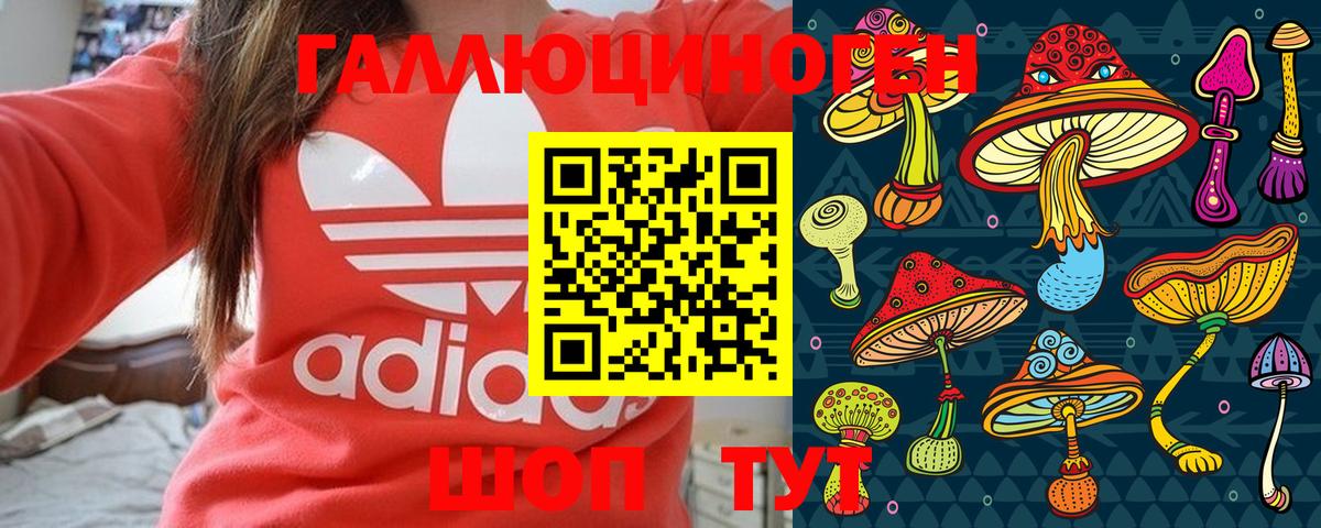 Галлюциногенные грибы Cubensis Кулебаки